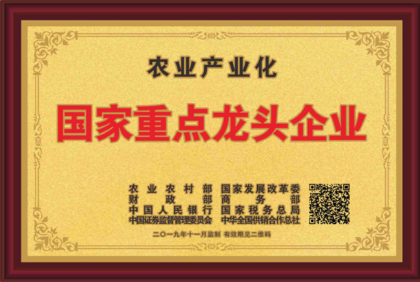 殊榮加身！湘豐茶業(yè)集團(tuán)再獲標(biāo)桿龍頭企業(yè)和優(yōu)勢特色產(chǎn)業(yè)30強(qiáng)等稱號(hào)