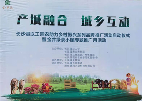 好喝更好看！湘豐茶業(yè)閃耀慧潤(rùn)盈商小鎮(zhèn)“金井鎮(zhèn)專題推廣月活動(dòng)”