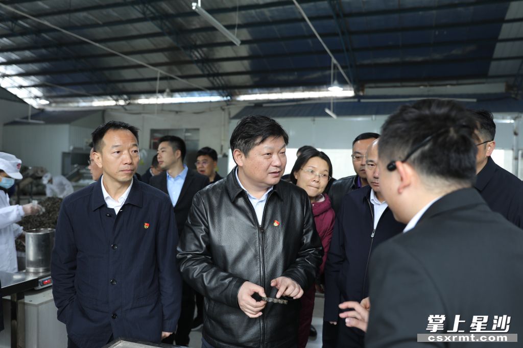 付旭明在湘豐桑植白茶洪家關(guān)工廠調(diào)研產(chǎn)業(yè)發(fā)展情況。.jpg