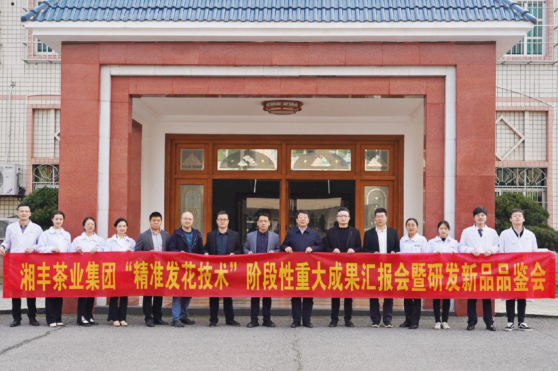 湘豐茶業(yè)集團(tuán)“精準(zhǔn)發(fā)花技術(shù)”取得重大階段性成果！