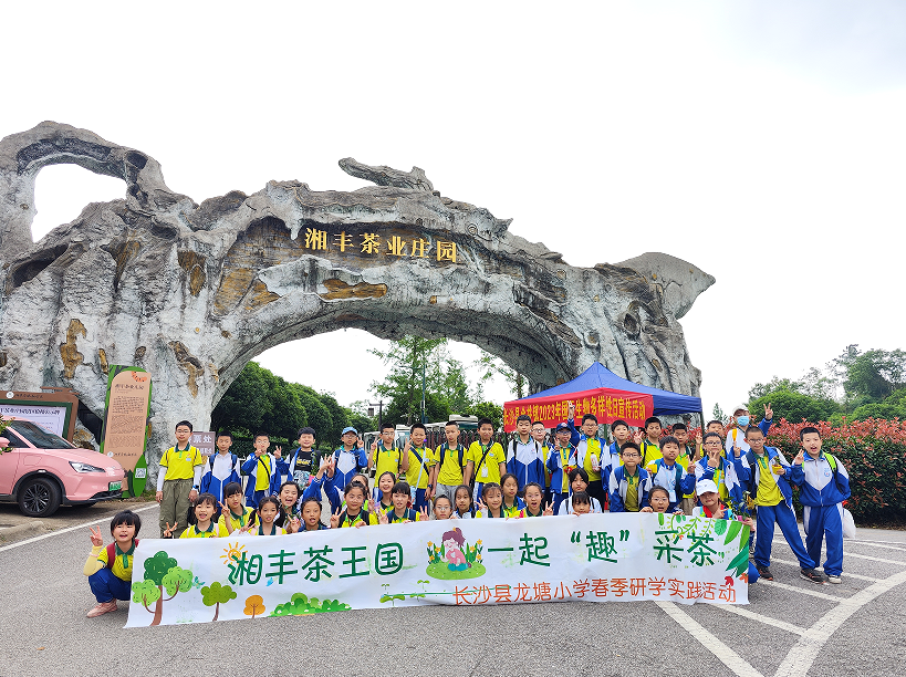 “湘豐茶業(yè)莊園游客持續(xù)暴漲”第九屆茶文化旅游節(jié)后迎來(lái)第一波高峰！