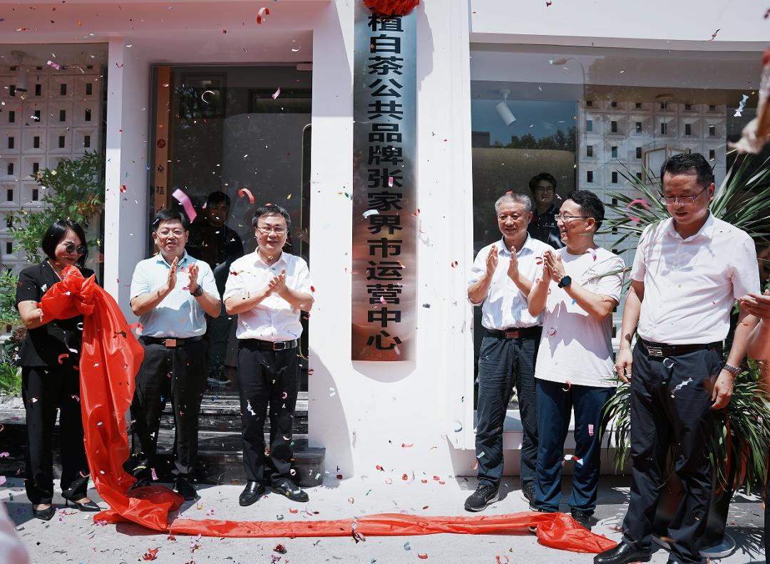 喜報！張家界白莓旗艦店盛裝開業(yè)暨桑植白茶公共品牌張家界市運(yùn)營中心隆重揭牌！
