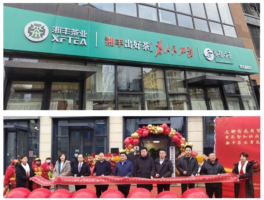 青島旗艦店盛大開業(yè)！湘豐茶業(yè)集團(tuán)全國(guó)布局再下一城