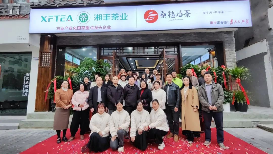 湘豐茶業(yè)·桑植白茶張家界武陵源旗艦店盛大開業(yè)！