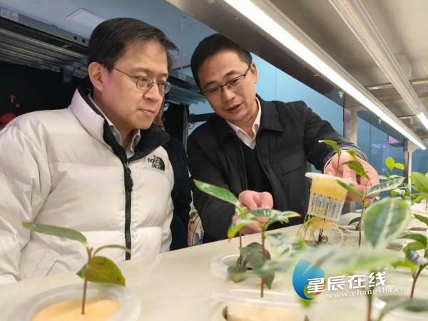 document_news_content_6a3b7e63af865_watermark1.jpg